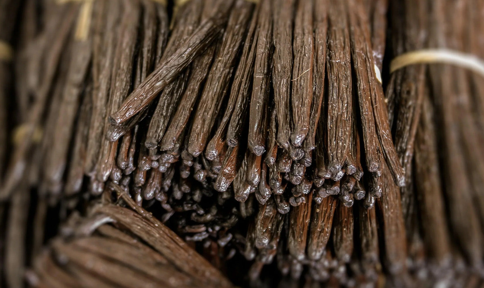 Naturals together | A la découverte de la vanille de Madagascar